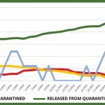 Website graph – May 29