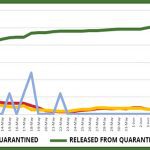 Website graph – June 17