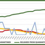 Website graph – June 4