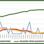 Website graph – June 8