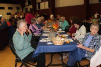 2015 RSVP Volunteer Recognition (14)